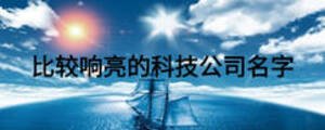 比較響亮的科技公司名字