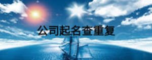 公司起名查重復