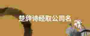 楚辭詩經取公司名