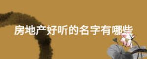 房地產(chǎn)好聽的名字有哪些
