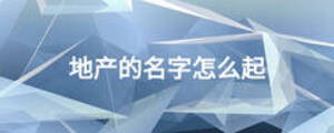 地產的名字怎么起