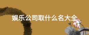 娛樂公司取什么名大全