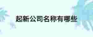 起新公司名稱有哪些