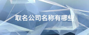 取名公司名稱(chēng)有哪些