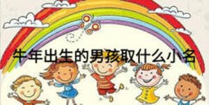 牛年出生的男孩取什么小名