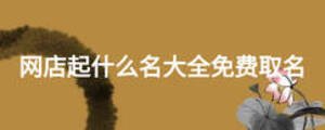 網店起什么名大全免費取名