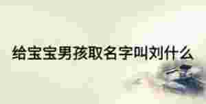 給寶寶男孩取名字叫劉什么