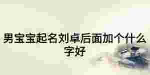 男寶寶起名劉卓后面加個什么字好