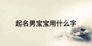 起名男寶寶用什么字
