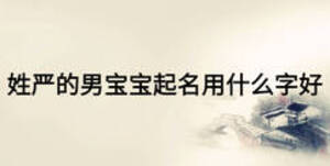 姓嚴的男寶寶起名用什么字好