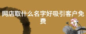 網(wǎng)店取什么名字好吸引客戶免費