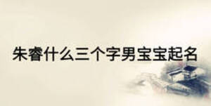 朱睿什么三個字男寶寶起名