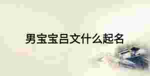 男寶寶呂文什么起名