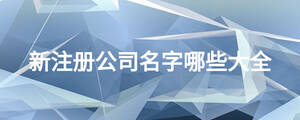 新注冊公司名字哪些大全