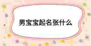 男寶寶起名張什么