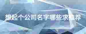 想起個公司名字哪些求推薦