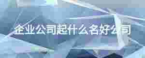 企業公司起什么名好公司