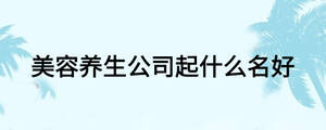 美容養生公司起什么名好