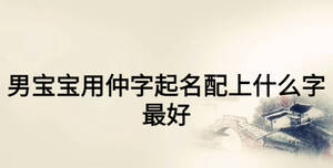 男寶寶用仲字起名配上什么字最好