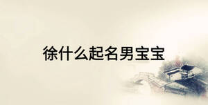 徐什么起名男寶寶