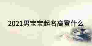 2021男寶寶起名高登什么