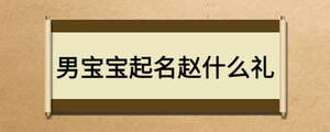 男寶寶起名趙什么禮