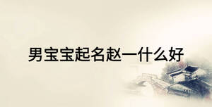 男寶寶起名趙一什么好