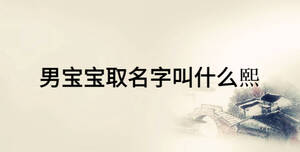 男寶寶取名字叫什么熙