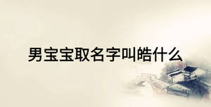 男寶寶取名字叫皓什么