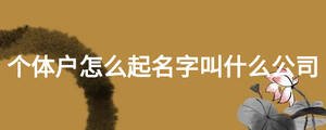 個體戶怎么起名字叫什么公司