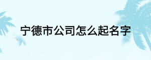 寧德市公司怎么起名字
