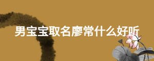 男寶寶取名廖常什么好聽