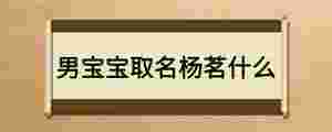 男寶寶取名楊茗什么