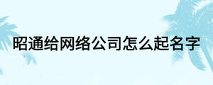 昭通給網絡公司怎么起名字