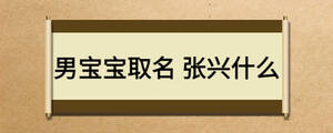 男寶寶取名 張興什么