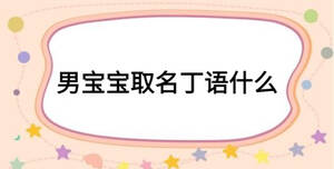 男寶寶取名丁語(yǔ)什么