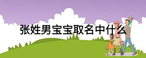張姓男寶寶取名中什么