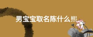 男寶寶取名陳什么熙