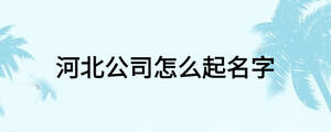 河北公司怎么起名字
