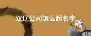 雙遼公司怎么起名字