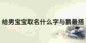 給男寶寶取名什么字與鵬最搭