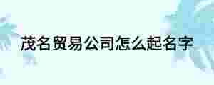 茂名貿易公司怎么起名字