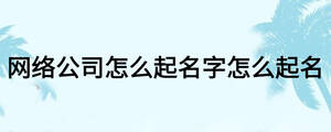 網絡公司怎么起名字怎么起名
