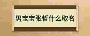男寶寶張哲什么取名