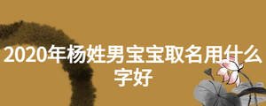 2020年楊姓男寶寶取名用什么字好