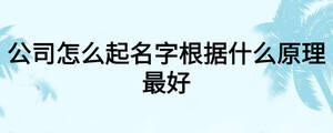 公司怎么起名字根據什么原理最好