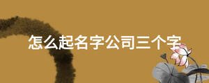 怎么起名字公司三個字