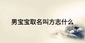 男寶寶取名叫方志什么