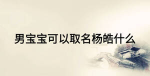 男寶寶可以取名楊皓什么