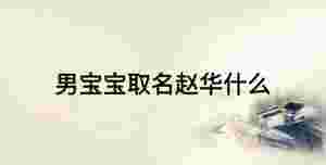 男寶寶取名趙華什么